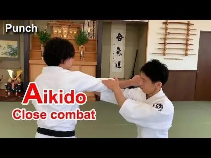Aikido Special techniques Close combat SHIRAKAWA RYUJI shihan