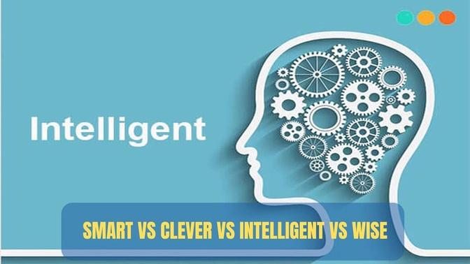 Smart vs Clever vs Intelligent vs Wise