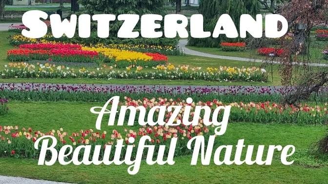 Switzerland Amazing Beautiful Nature With Relaxing Music