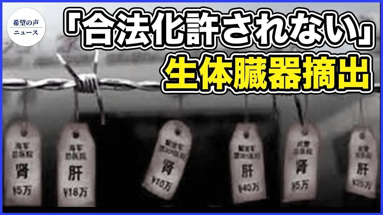武漢で臓器調達会議開催　官製メディアは報道せず【希望の声ニュース-2023/11/05】