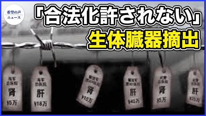 武漢で臓器調達會議開催　官制メディアは報道せず【希望の聲ニュース-2023/11/05】
