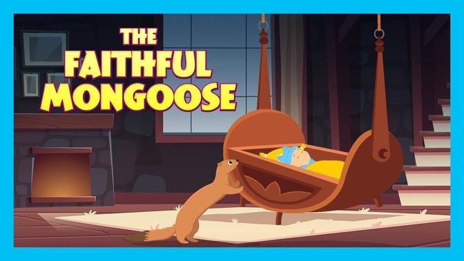 THE FAITHFUL MONGOOSE : Stories For Kids In English | TIA & TOFU | Bedtime Stories For Kids