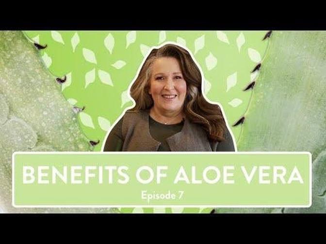 Benefits Of Aloe Vera Holland Barrett Videos Holland Barrett