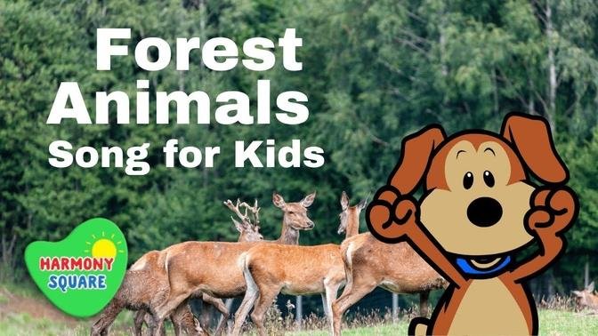 Forest Animals _Science Songs for Kids_ Harmony Square Educational Videos for Kids.