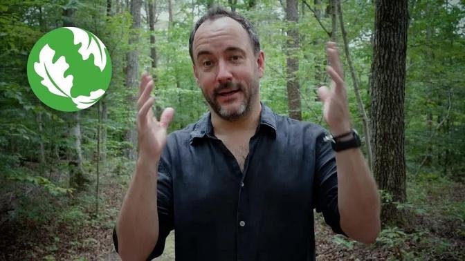 Planting a Million Trees with Dave Matthews