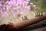 Gayageum and Guzheng Music