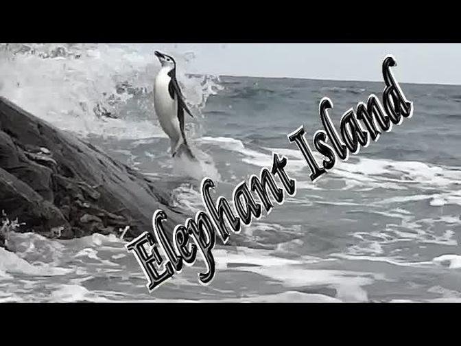 🐘 Elephant Island and a Story of Survival 🐧