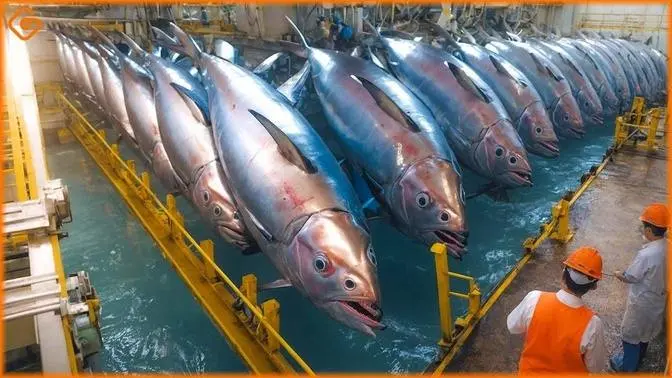 Modern Food Technology Processing Machines That Are At Another Level ▶28