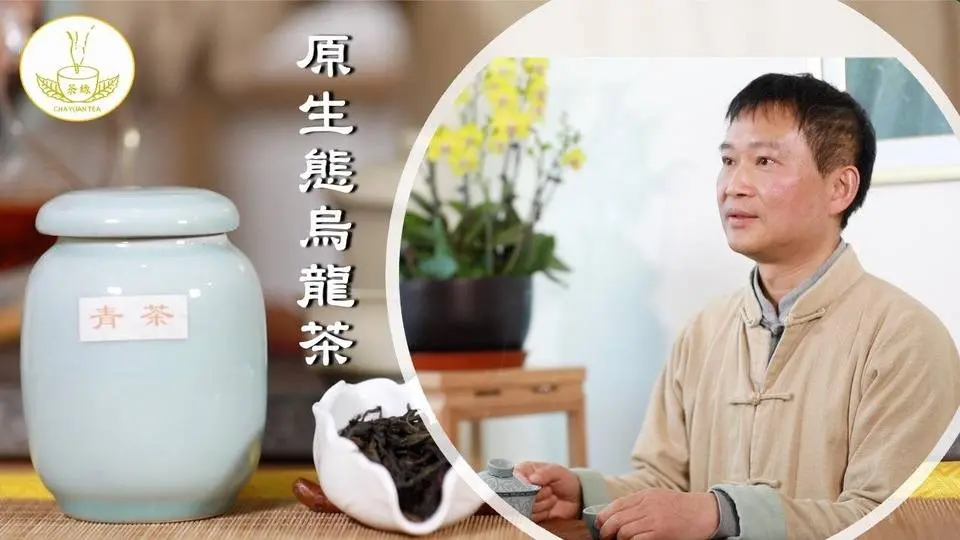 【茶缘茶道】喝乌龙茶会上火？