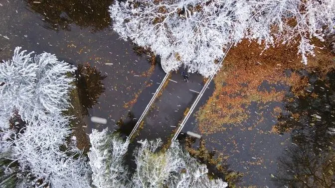 飘雪中城市公园#winterbeauty