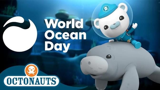 ​@Octonauts - World Ocean Day 🌊 🌎 | 60 Mins+ Special! | Cartoons for Kids | Underwater Sea Educati