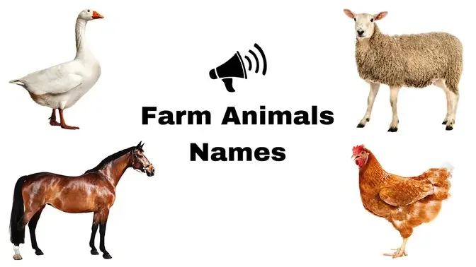 Learn farm animals names and sounds - learn farm animals for toddlers -  Flashcards for kids