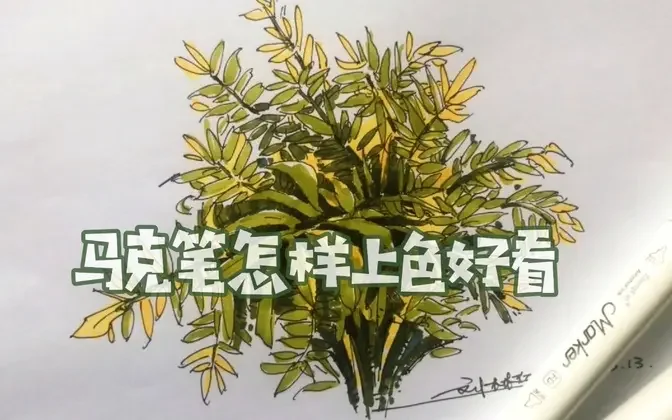 钢笔画线稿绿植速写，记录马克笔上色画法步骤，这样画就不难了