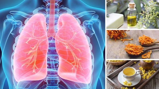 Top 5 Herbs for Lung Health and Usage Tips