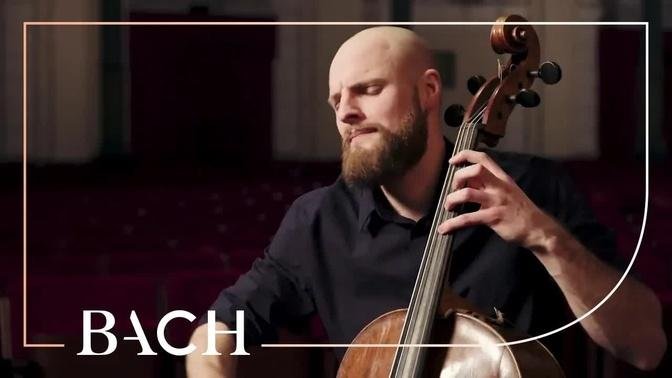 J.S Bach: Cello Suite no. 2 in D minor BWV 1008 - Pincombe | Netherlands Bach Society