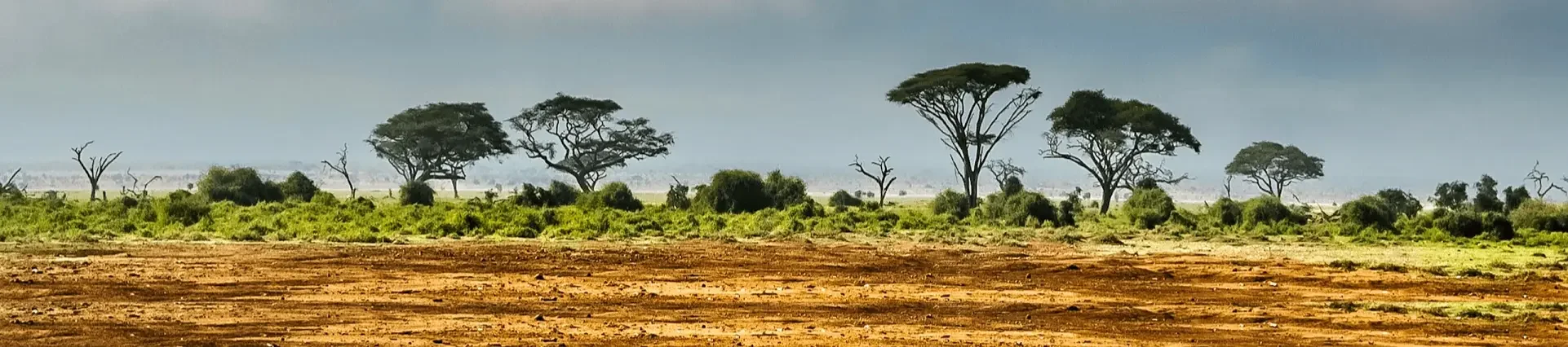 Tour du Monde