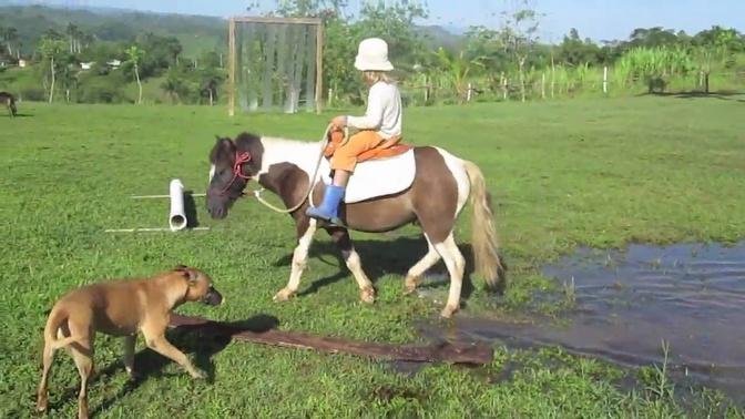 Parelli Natural Horsemanship Student Sasha and her Pony - Dominican Republic