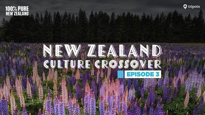 S01E03: A Foodie's Guide To New Zealand | Ft. Shivesh Bhatia, Gianpaolo Grazioli | Tripoto