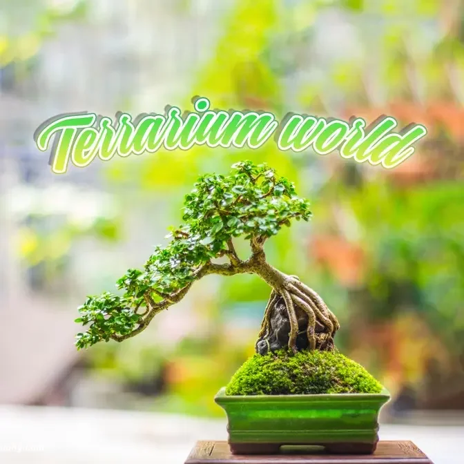 Terrarium world