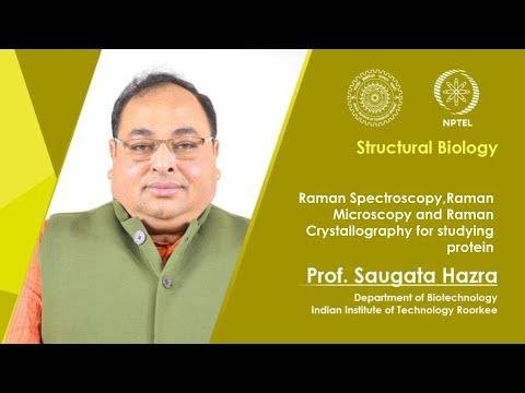 Raman Spectroscopy, Raman Microscopy and Raman Crystallography for studying protein