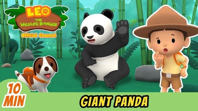 Giant Panda | Full Episode | Leo the Wildlife Ranger | Kids