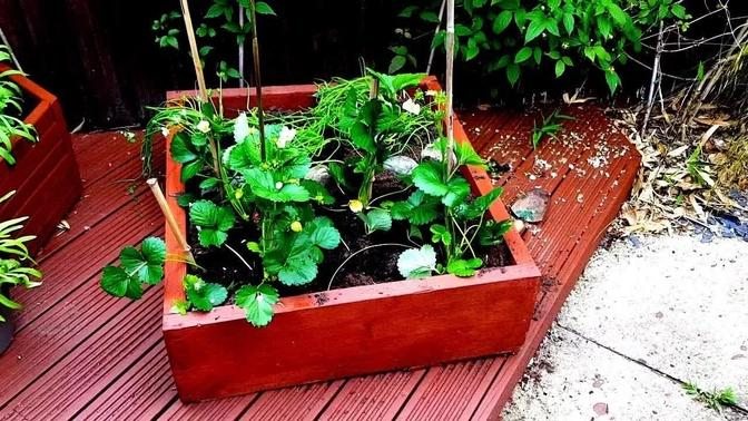 Making A Simple Planter For The Garden