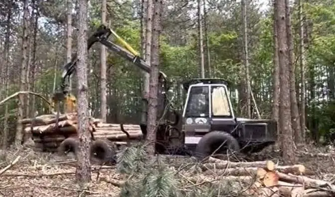 200 Most Incredible Heavy Equipment Machines and Tools Working At Another Level