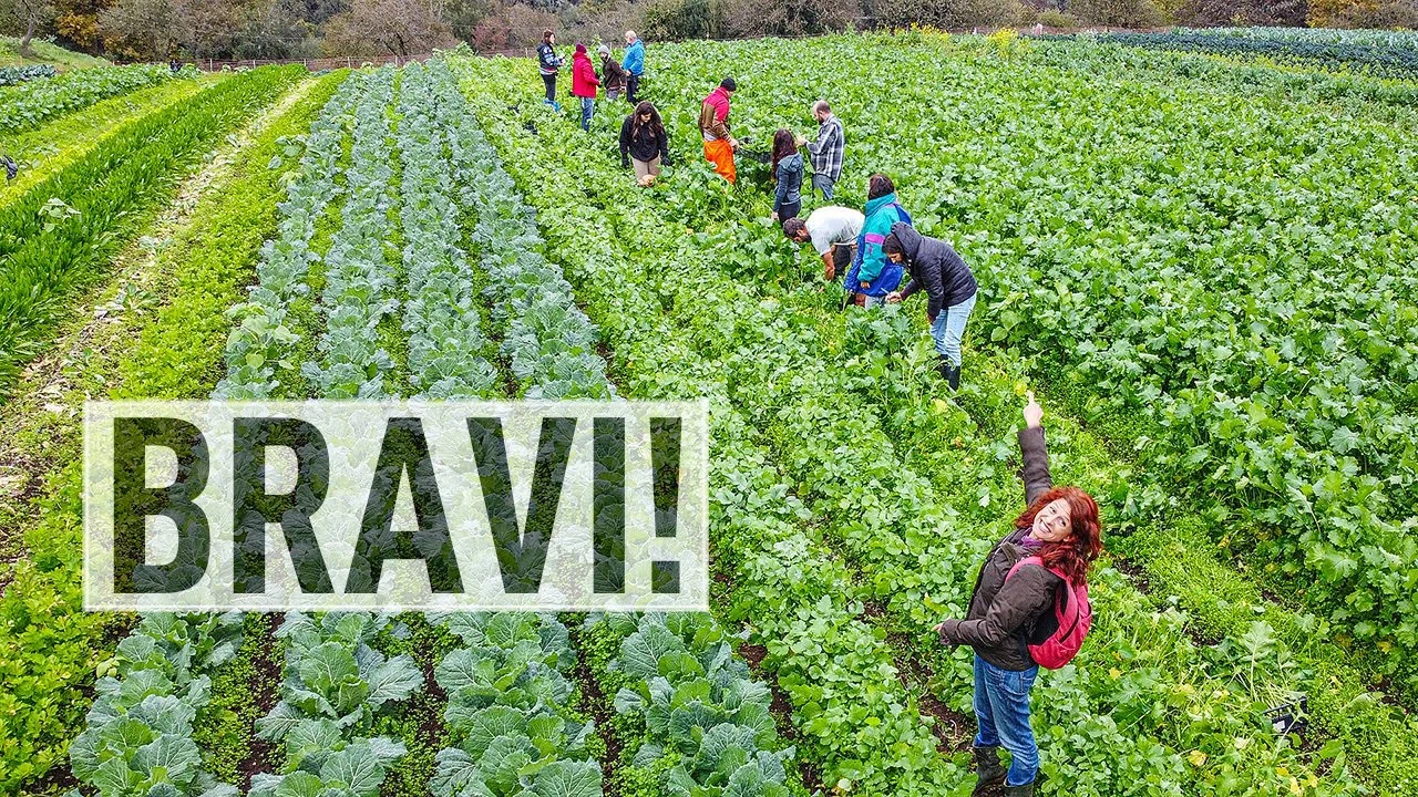 AGRICOLTURA di comunità. Coltivare insieme con la CSA