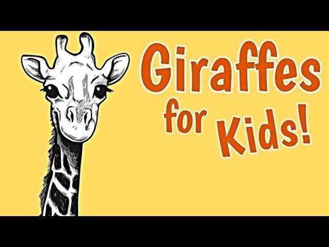 Giraffes for Kids