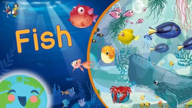 Fish For Kids (Learning Videos For Kids)