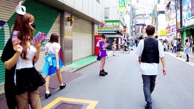 [Akihabara Walk in Tokyo] Maid Cafe Sanctuary ♪ (4K ASMR non-stop 1 hour 02 minutes)