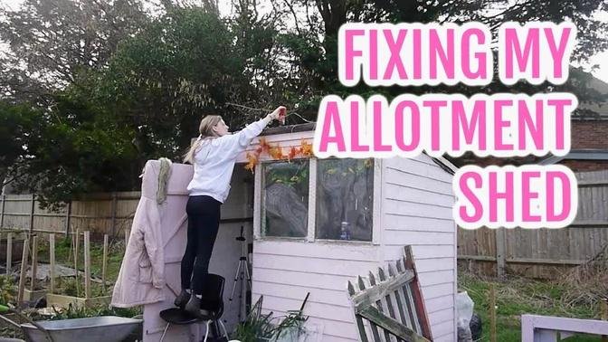 FIXING MY ALLOTMENT SHED / FEBRUARY /EMMA'S ALLOTMENT DIARIES