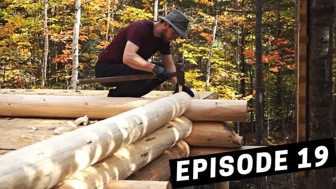 Building A Log Cabin  Ep. 19  Peak fall colours means peak productivity - Notching logs off-g