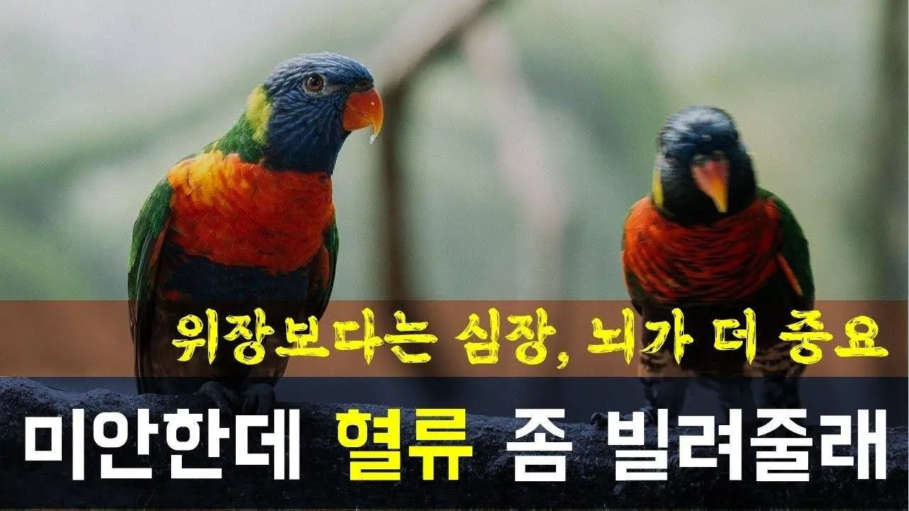 우리 몸이 급할 때 혈류를 빌리러 가는 곳