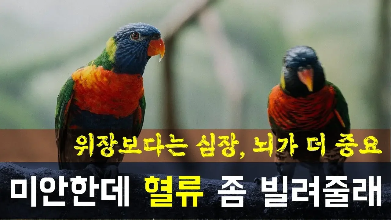 우리 몸이 급할 때 혈류를 빌리러 가는 곳