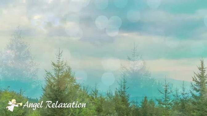 Gentle Breeze_1 Hr Calm Relaxing Music丨Nature Sounds of Birds Singing in Mountain Forest