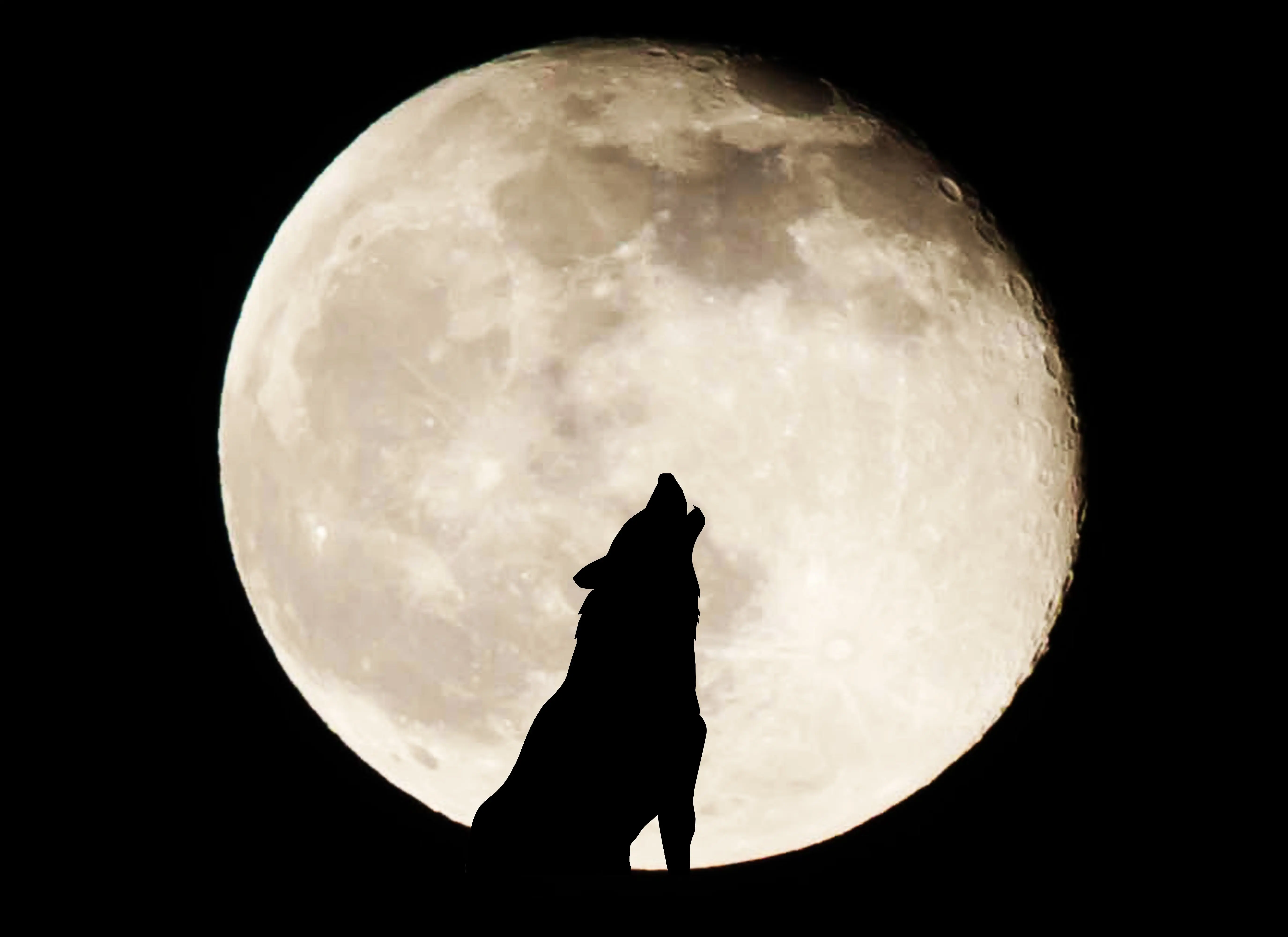 The First Full Moon of 2025—The ‘Full Wolf Moon’—Will Soon Rise, But
