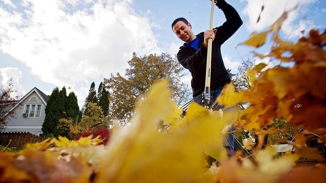 Autumn's Workout: How Many Calories Does Raking Leaves Burn?