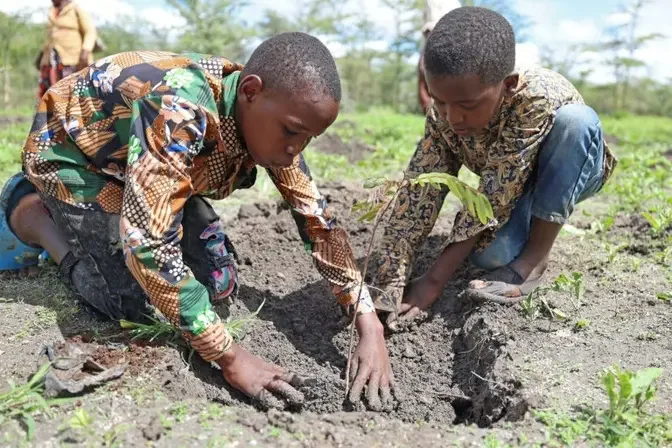 Kenya’s First National Tree Planting Day: A Nationwide Effort to Fight Deforestation