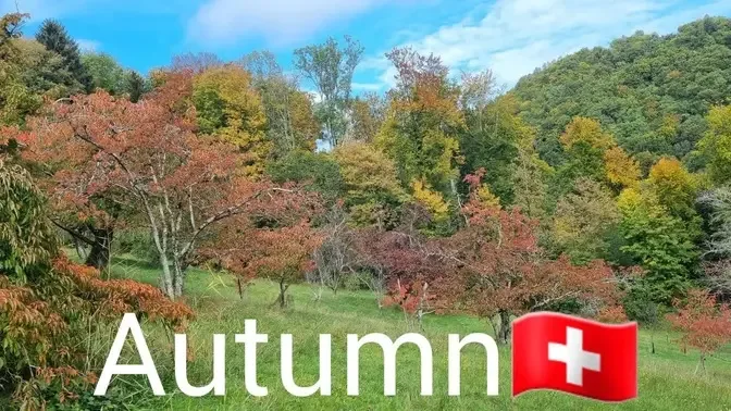 Autumn in Switzerland 4K | Fall Foliage#autumn #fallfoliage @Wannafeel Family