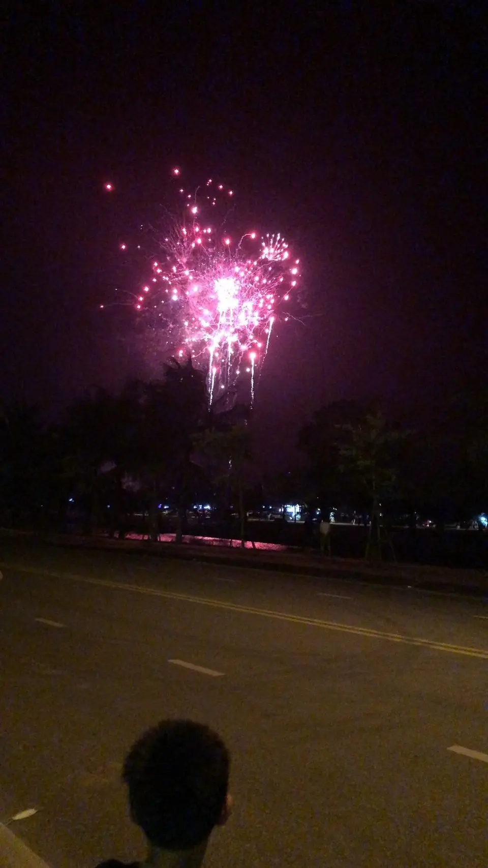 Pháo hoa ngày lễ