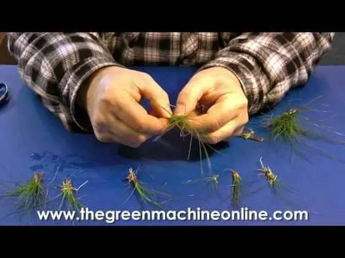 Preparing Eleocharis Parvula (Hairgrass) for planting in an aquarium