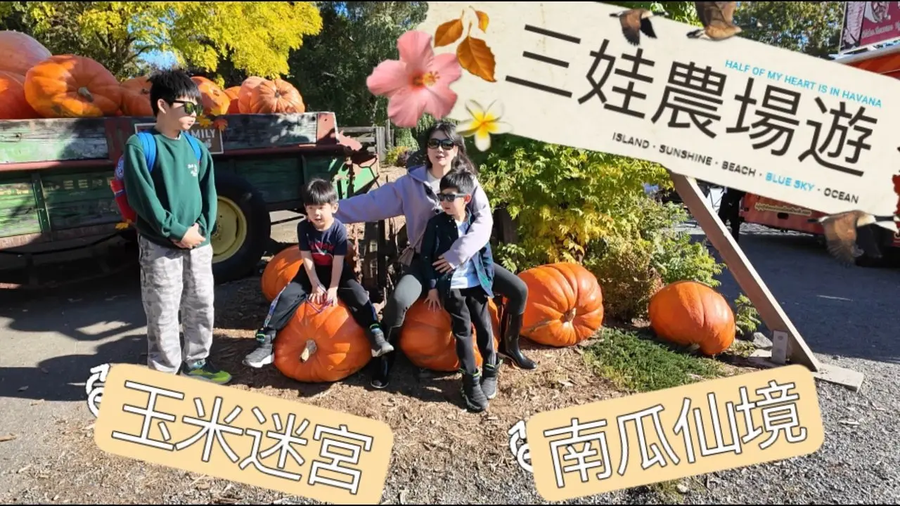 秋日帶娃逛農場，會有什麼奇趣好玩的呢？快來一起看看吧！