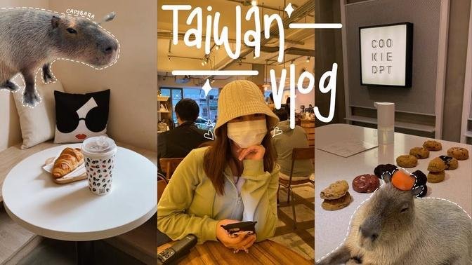 Taiwan Vlog 🇹🇼 _ capybara farm, yilan seafood 🦐, local night markets, café hopping ☕️, xiang shan