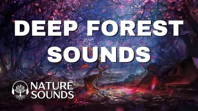 Nature Sounds Forest Sounds Flute Music Nature Music Relaxing Nature Sounds Nature