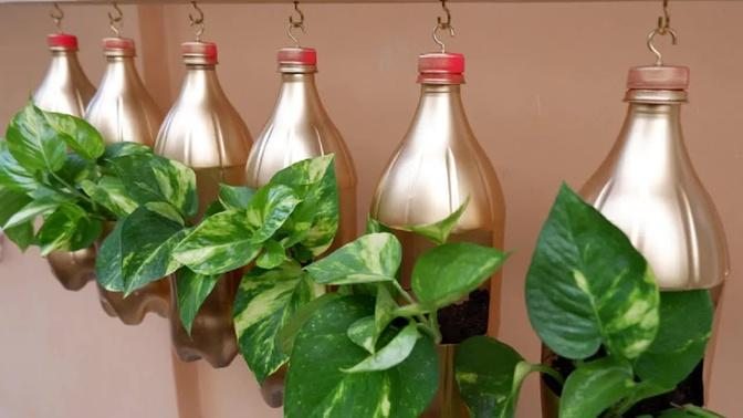 Make Your Extra Wooden Plank Into Hanging Planter Using Plastic Bottles