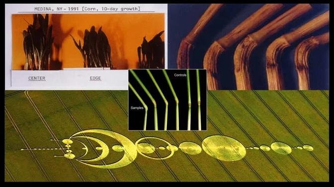 The  Truth About Crop Circles