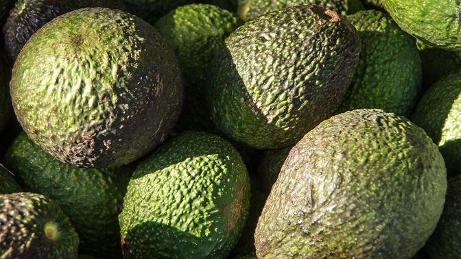 US to Resume Avocado Inspection in Mexico's Michoacan, Ambassador Says