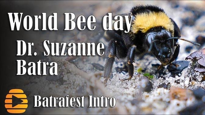 World Bee day - Celebrating Dr. Suzanne Batra's career - save the bees 2019