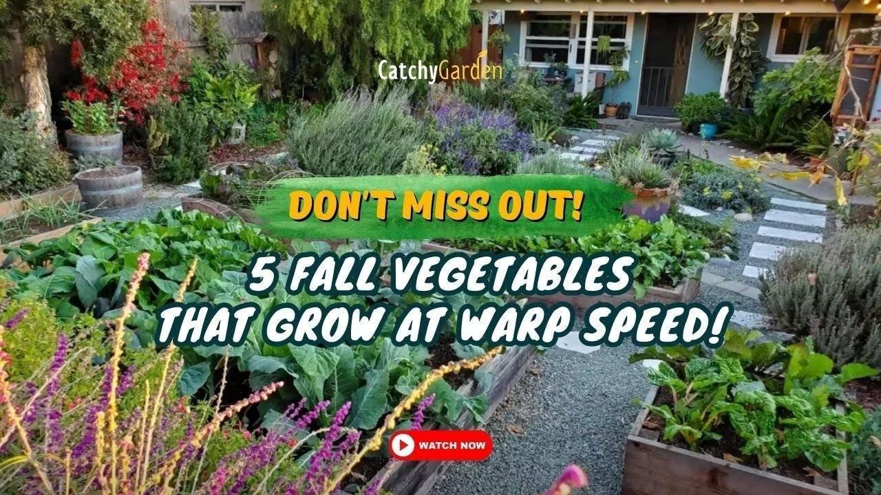 5 Fall Vegetables That Grow at Warp Speed! Don't Miss Out! 🍀🌿🥦 // Autumn Gardening Ideas